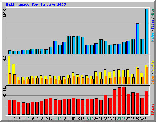 Daily usage for January 2025