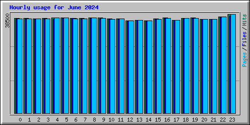Hourly usage for June 2024