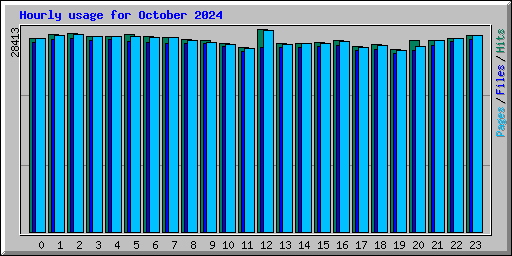 Hourly usage for October 2024