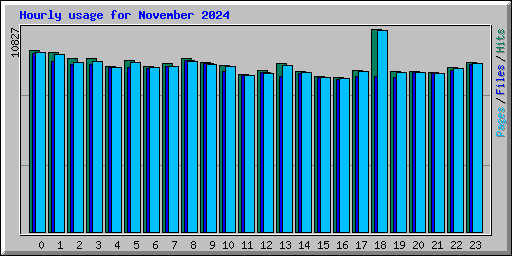 Hourly usage for November 2024