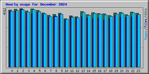 Hourly usage for December 2024