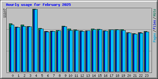 Hourly usage for February 2025