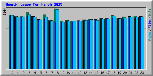 Hourly usage for March 2025