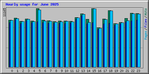 Hourly usage for June 2025