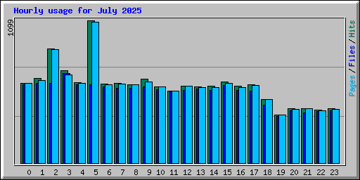 Hourly usage for July 2025