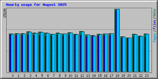 Hourly usage for August 2025