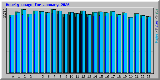 Hourly usage for January 2026
